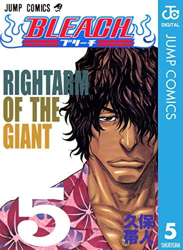 BLEACH5